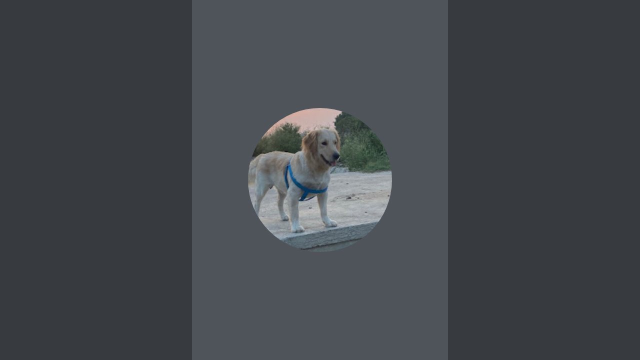 Loving kuku is live