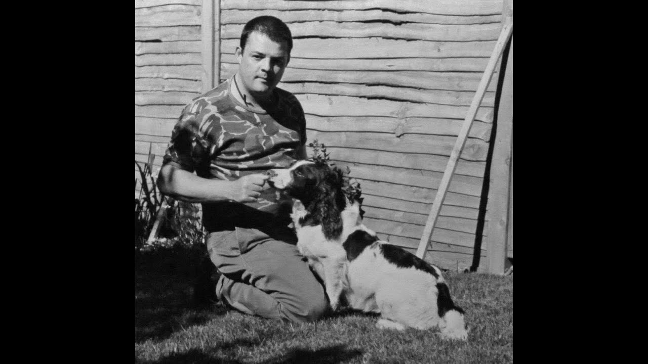 Real Gundog training videos