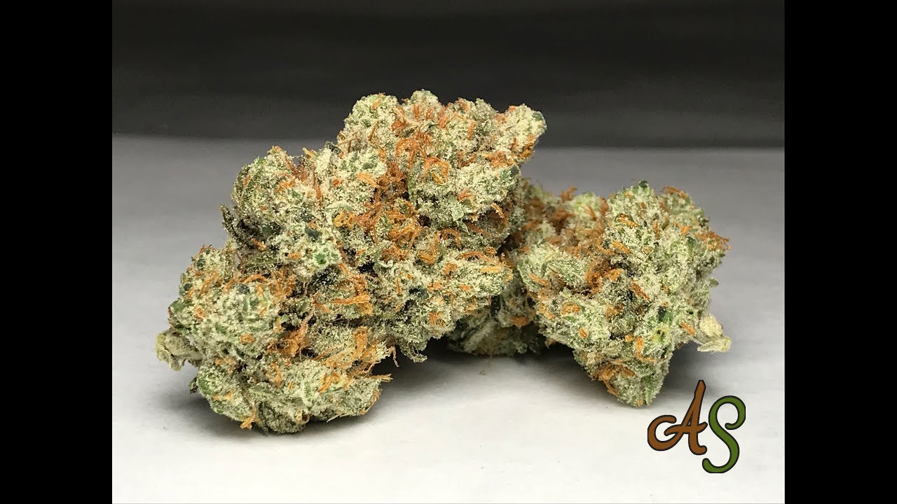 No-till Organic Marijuana // Aunt Sparkie's Premium Cannabis