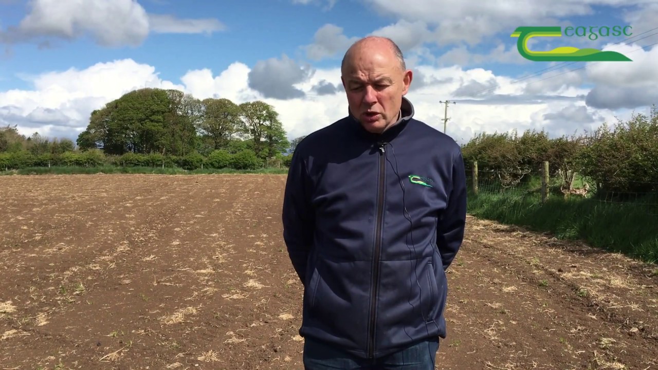 Grassland Reseeding
