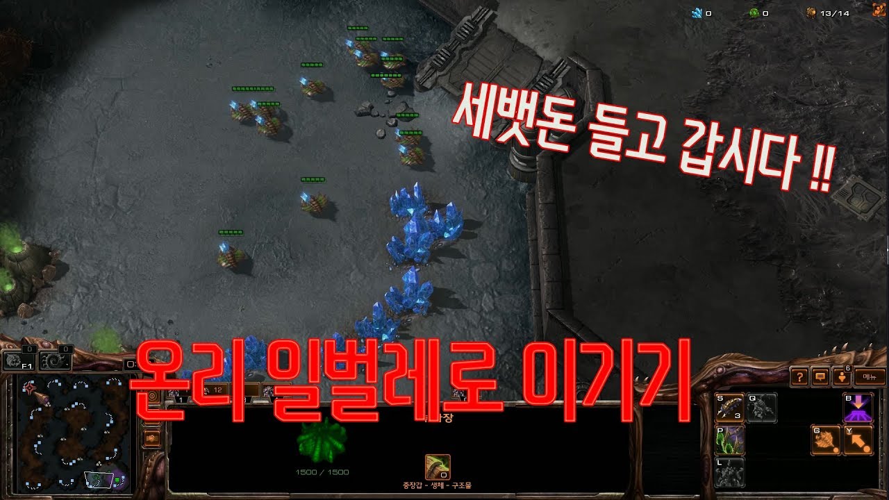 온리 일벌레로 이기기 【세뱃돈 빌드】ㅣ 스타크래프트2