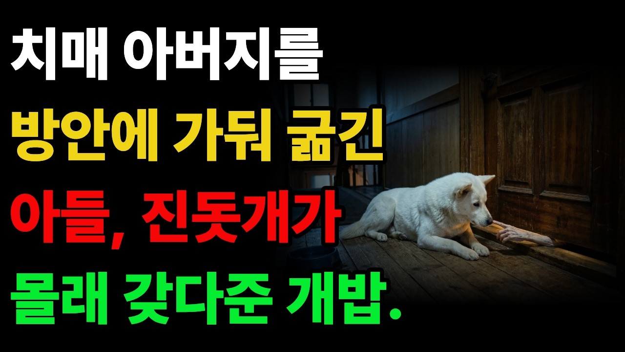 치매 아버지를 방안에 가둬 굶긴 아들, 잔돗개가 몰래 갖다준 개밥.  #진돗개사연 #감동사연 #진돗개 #강아지 #노후사연 #오디오북