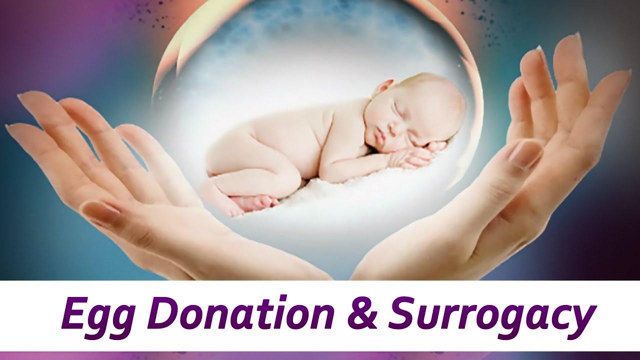 Egg Donation & Surrogacy