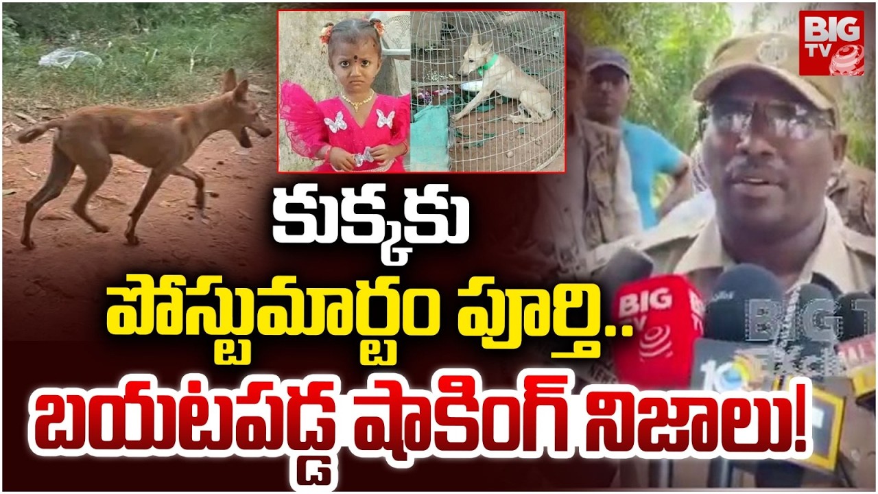 Kakinada Jahnavi Missing Case | Dog Post-Mortem Report |కుక్కకు పోస్టుమార్టం పూర్తి..బయటపడ్డ నిజాలు!