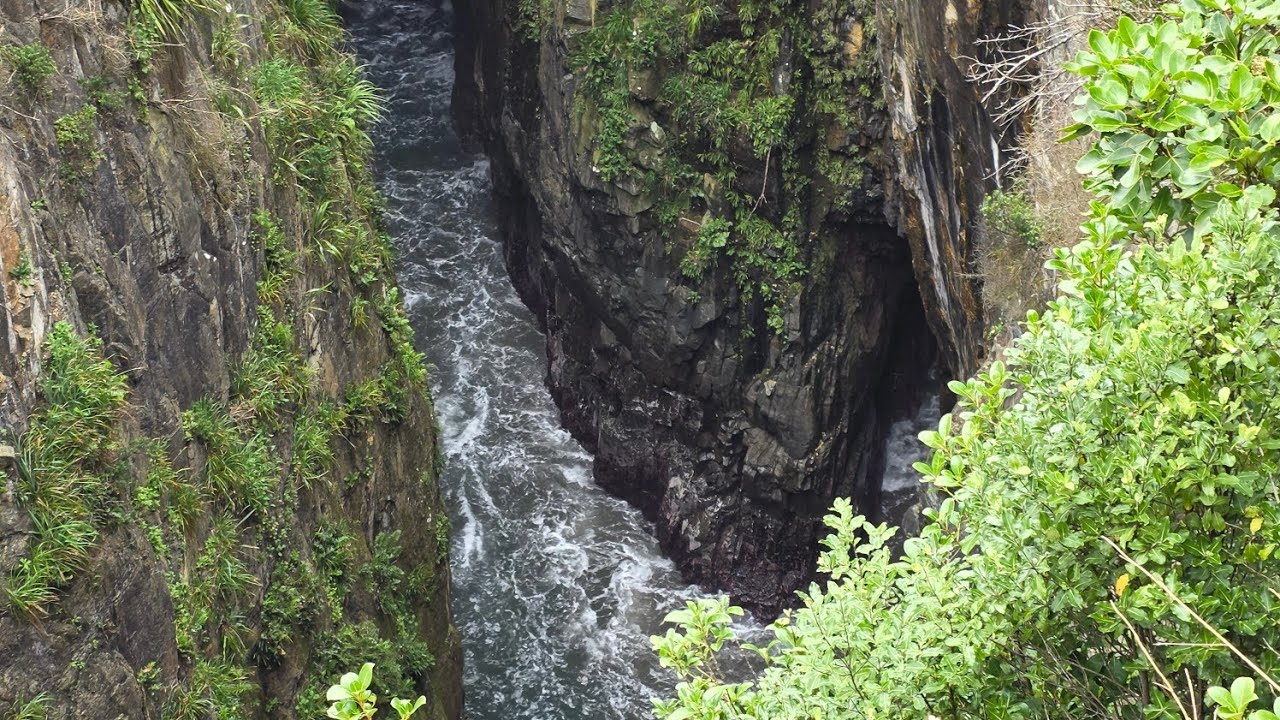 Jack's blowhole track, Jack's Bay, The Catlins