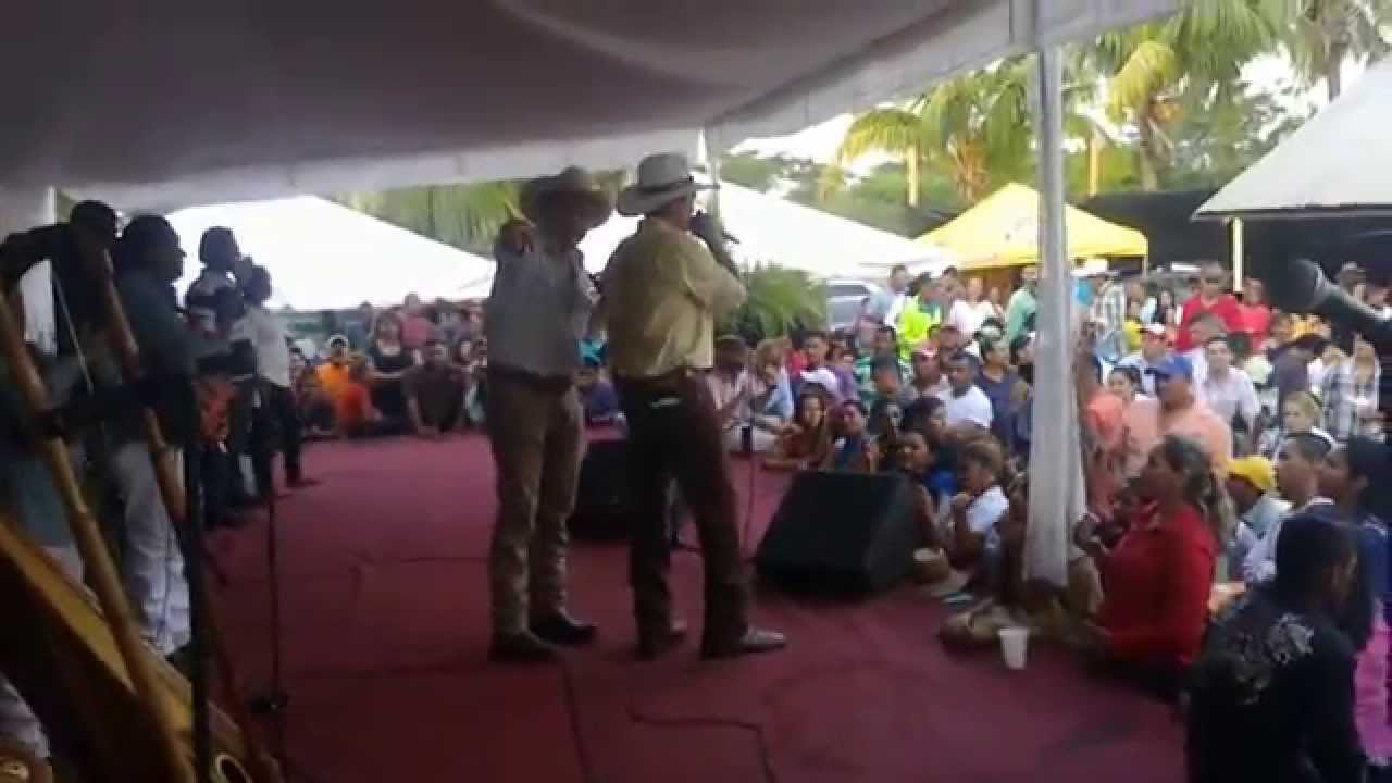 Jorge Guerrero 2015 -Tardes Grises de Junio (Dedicatoria a Elisa Guerrero)