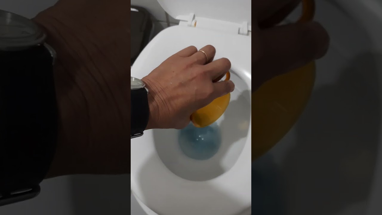como desentupir vaso sanitario que caiu objeto dentro