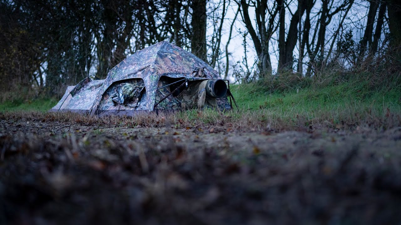 WILDLIFE PHOTOGRAPHY on location : A dull day in the hide! First test of the Tragopan Hokki V3