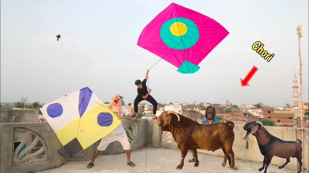 Kite & Nasir Bakra Caught Abubaker | Kites