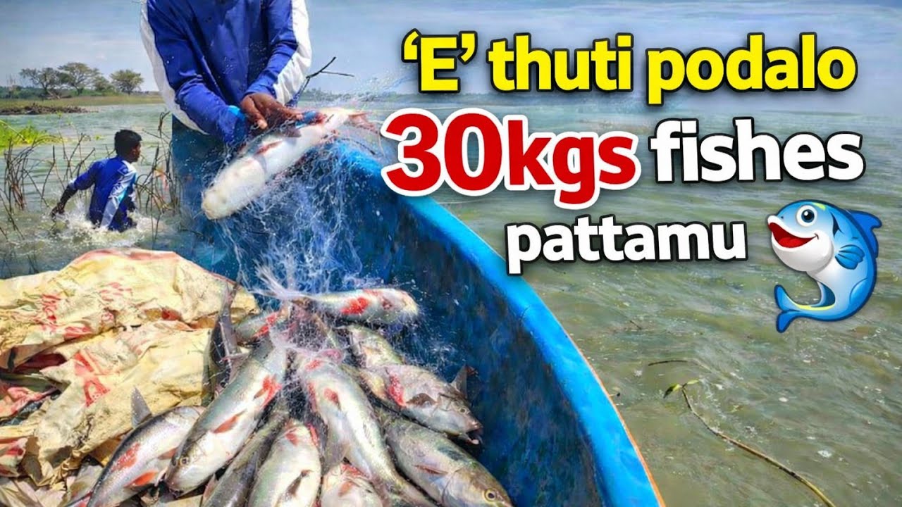 పొదలో 30kgs చేపలు దొరికాయి 😱😊🐟