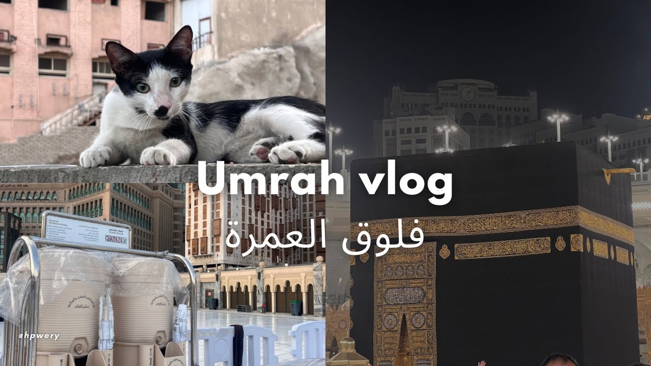 Umrah vlog | فلوق سفرة عائلية زيارة مكة و المدينة🌟🛬