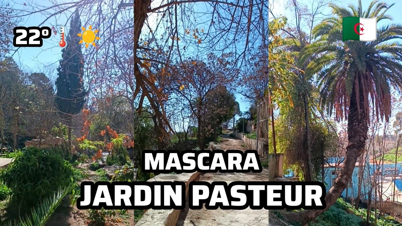 JARDIN PASTEUR MASCARA ALGÉRIE 🇩🇿 2025