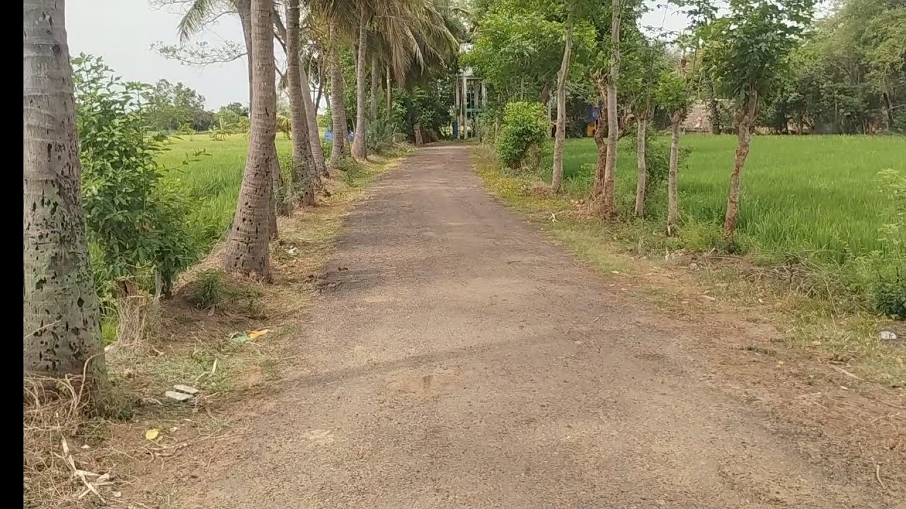 PEE ACRE 15-LAKHS AREA 6.50/ACRES NANJAI AGRIC LAND SALE THIRUVARUR IN PERALAM TO KARAIKAL CUT 2.5/K