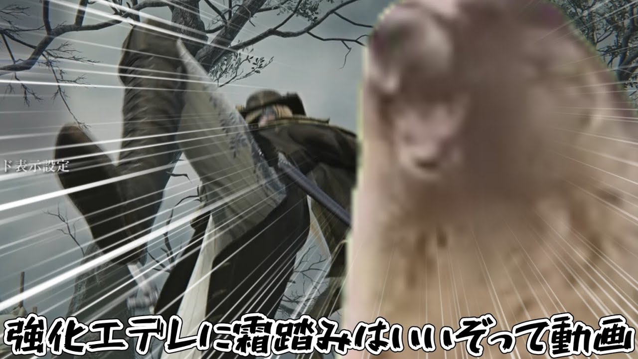 【エルデンリングナイトレイン】レディと強化エデレの相性が良すぎたwww