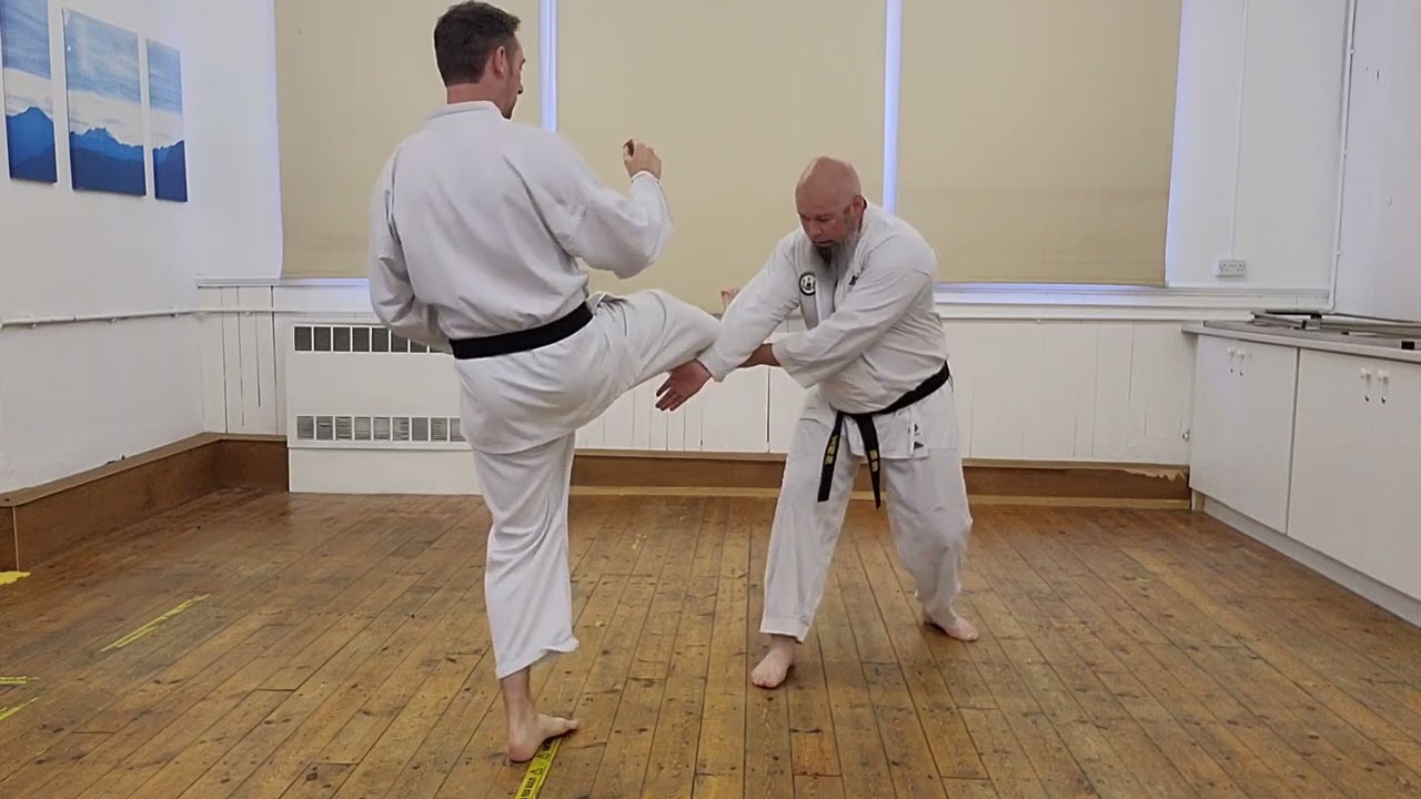 Sanseru bunkai (4)
