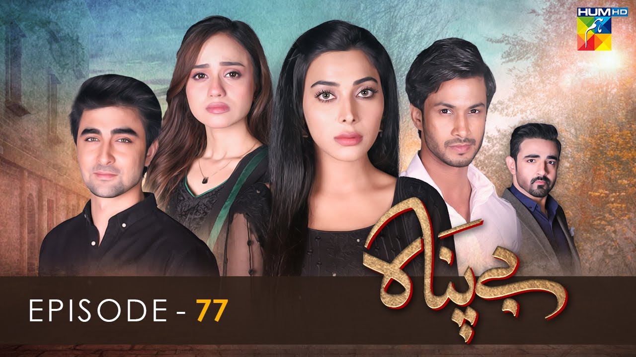 Bepanah - Episode 77 - Eshal Fayyaz - Khaqan Shahnawaz - Kanwal Khan - 13th January 2023 - HUM TV