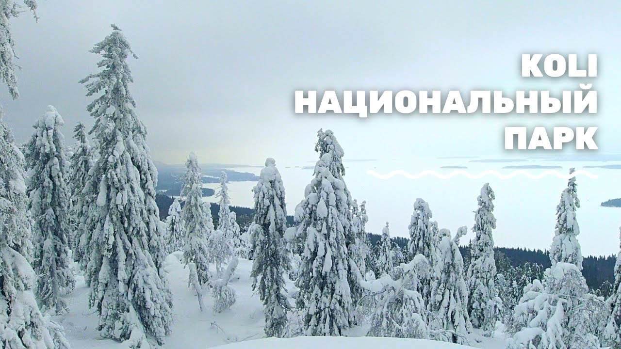 Национальный парк Коли, Финляндия. Koli National Park, Suomi