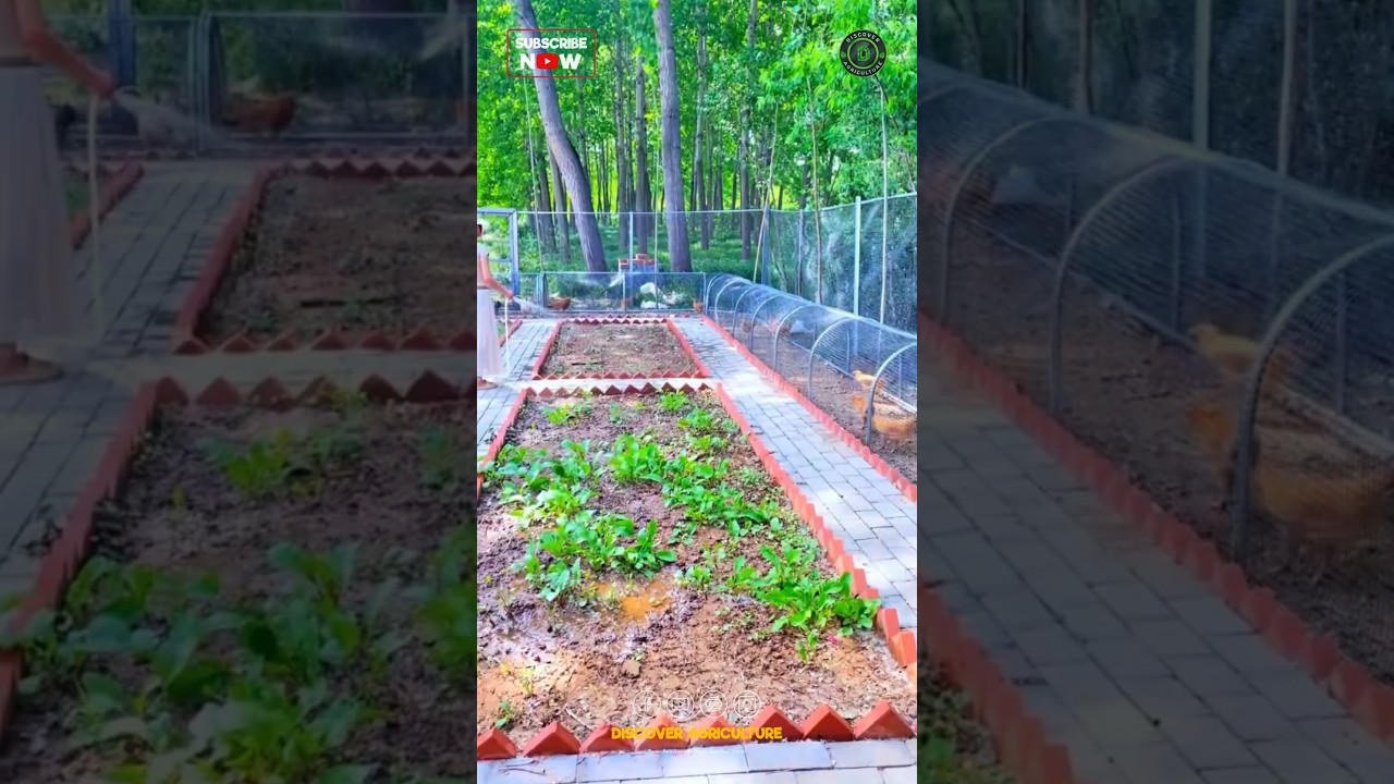 Beautiful Integrated Farm Design