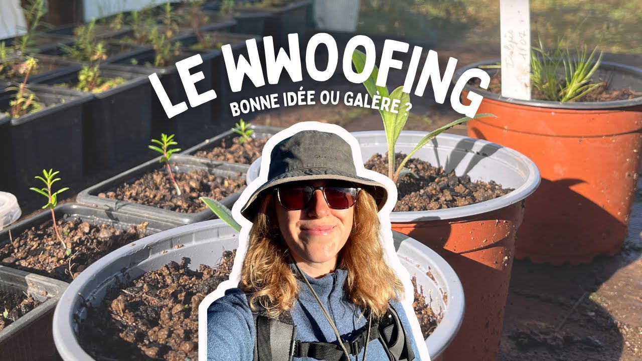 Le WWOOFing : c’est quoi, comment ça marche et pour qui ? (mon expérience)