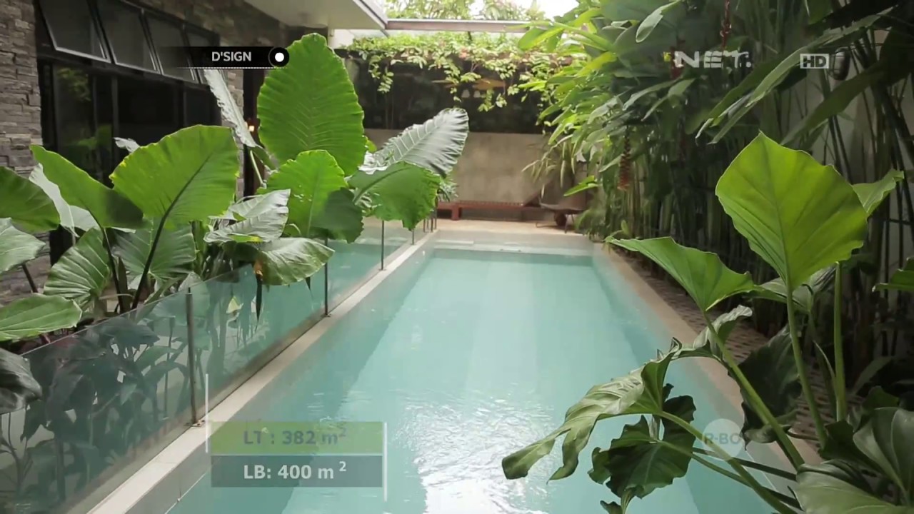 D'Sign - Tropical Paradise