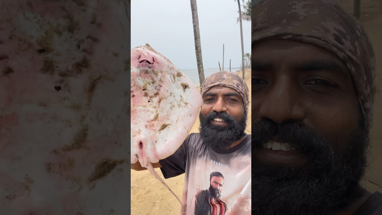 ഈ കൊല്ലം ആദ്യം കിട്ടിയ തിരണ്ടി #vlogettan