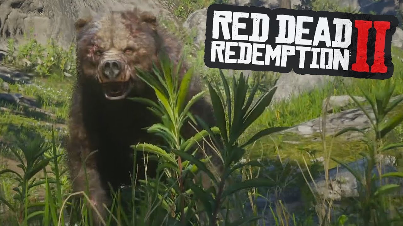 NOS ATACA UN OSO EN RED DEAD REDEMPTION 2