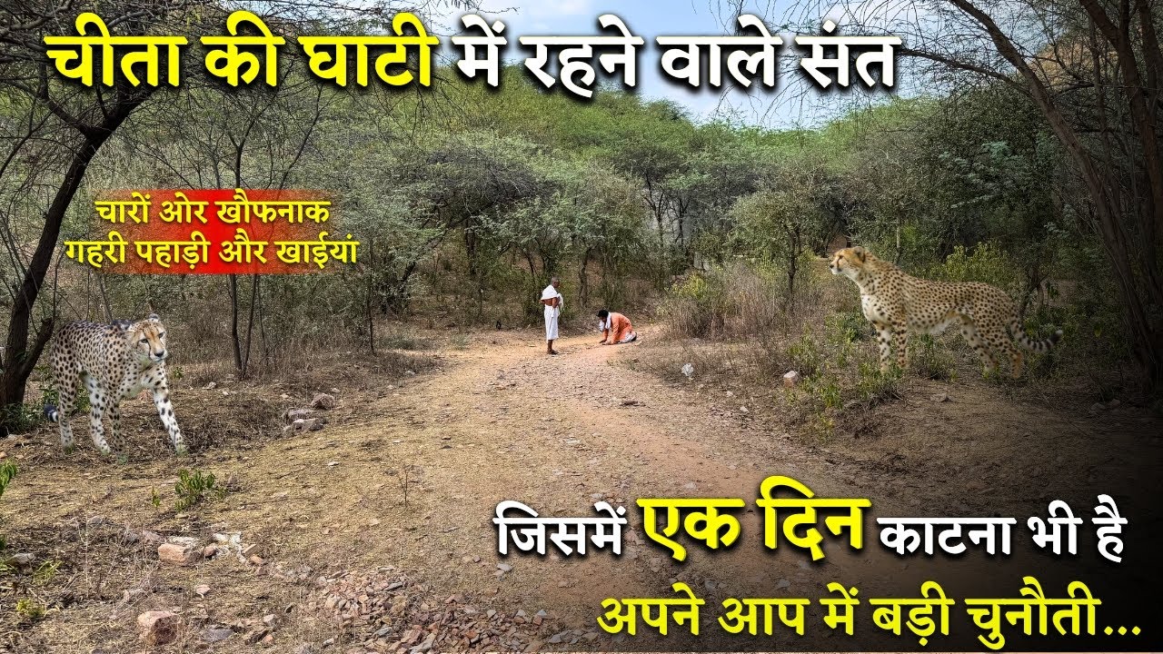 खूंखार जानवरों की घाटी में कैसे रह रहे हैं संत जो वर्षों से नहीं आए जंगलों से बाहर Sadhu Sant #sadhu
