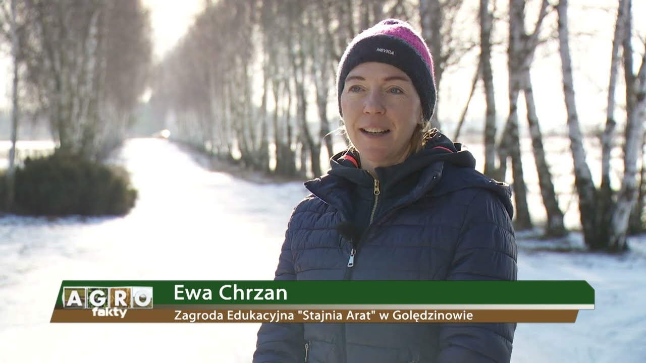 Nowa zagroda edukacyjna Stajnia Arat - Agrofakty TVP3 Wrocław