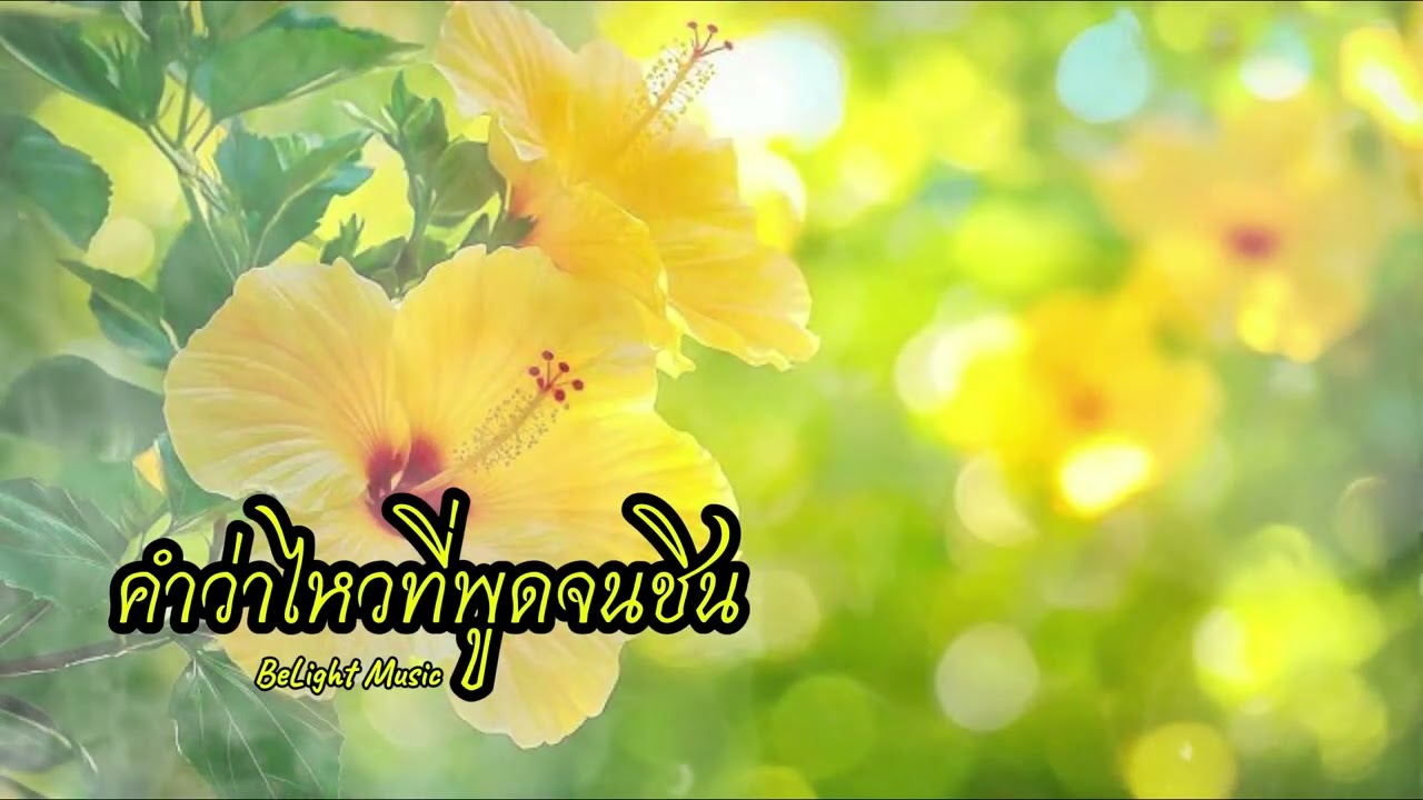 คำว่าไหวที่พูดจนชิน / BeLight Music / เพลงเพราะฟังสบายระหว่างทำงาน , เพลงฮีลใจ , เพลงรักตัวเอง