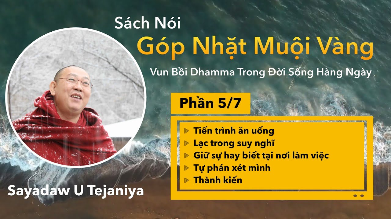 Phần 5 | Góp Nhặt Muội Vàng | Sayadaw U Tejaniya | Thiền Phật Giáo