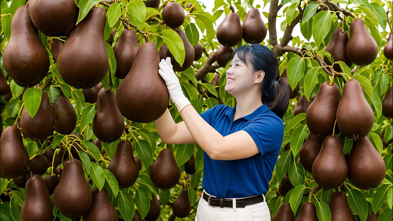 Harvesting Giant Wild Pear & Making Pear Nuts Cake...Watch How the Village Reacted to This Cake