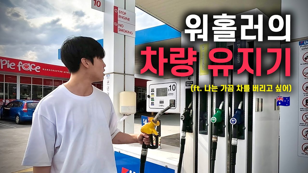 호주에서 차량 보험, 세금, 유지비가 이 정도라고? 🫨 (ft. 내가 가끔 차를 버리고 싶은 이유?)/호주 워홀러로 살아남기 17