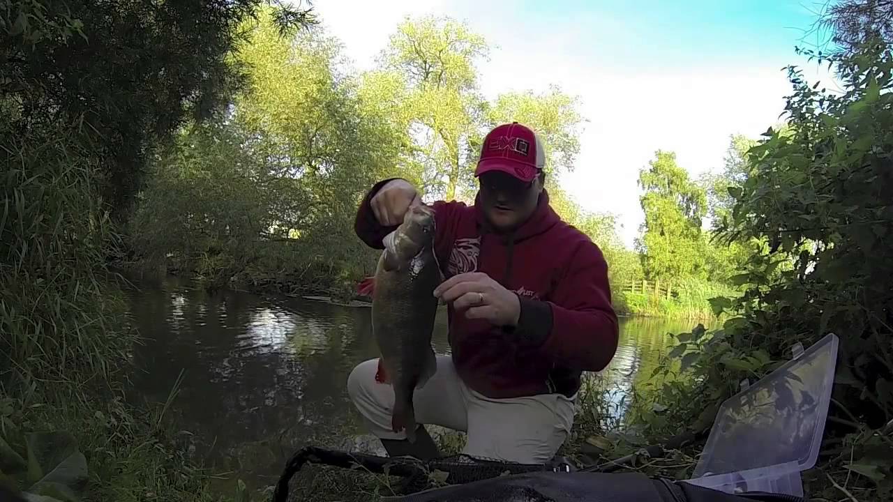 Giant Perch