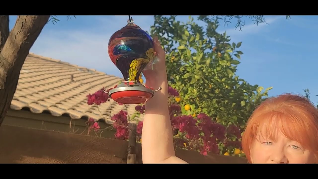 Attract More Hummingbirds with This Stunning, Leak-Proof Bird Feeder by Muse