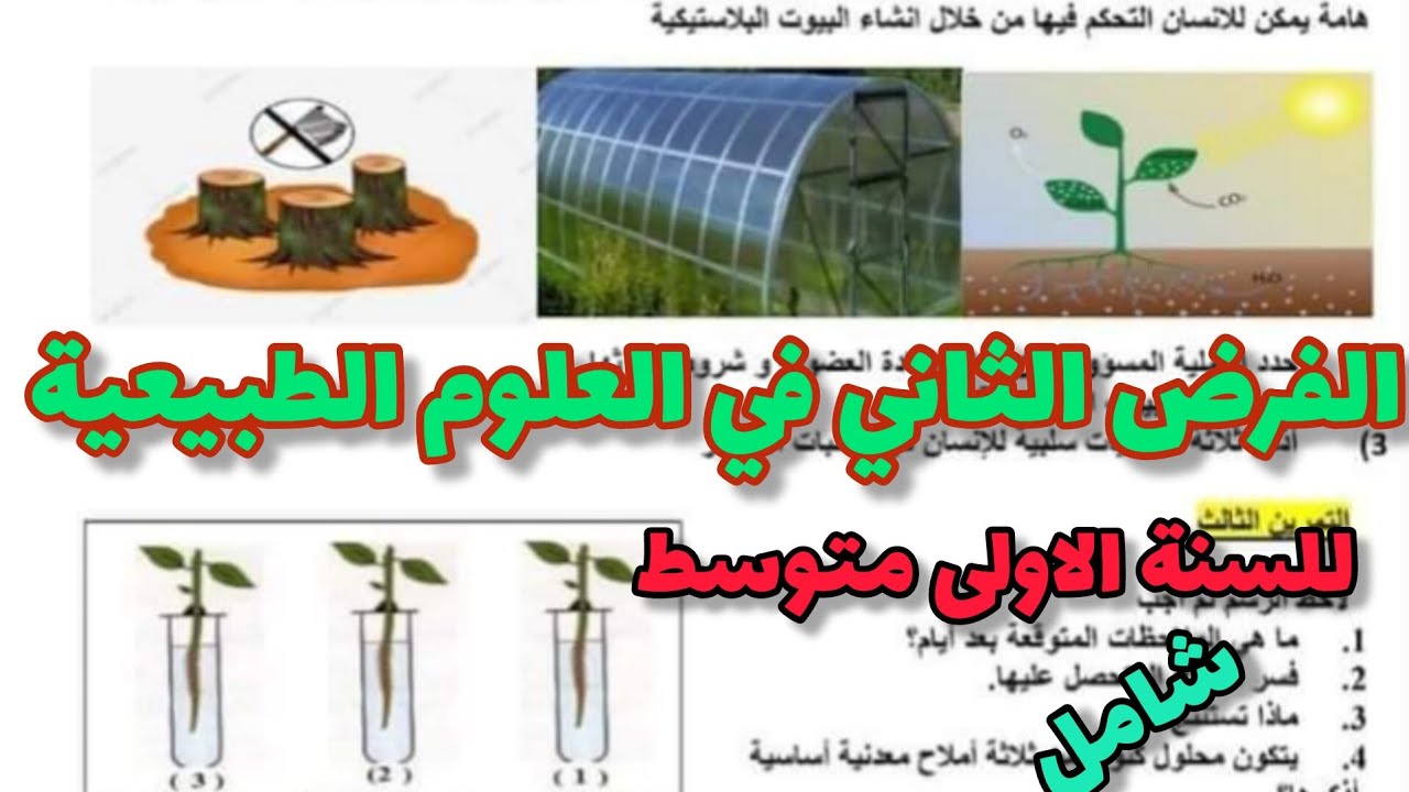 الفرض الثاني في العلوم الطبيعية للسنة الاولى متوسط رقم 16