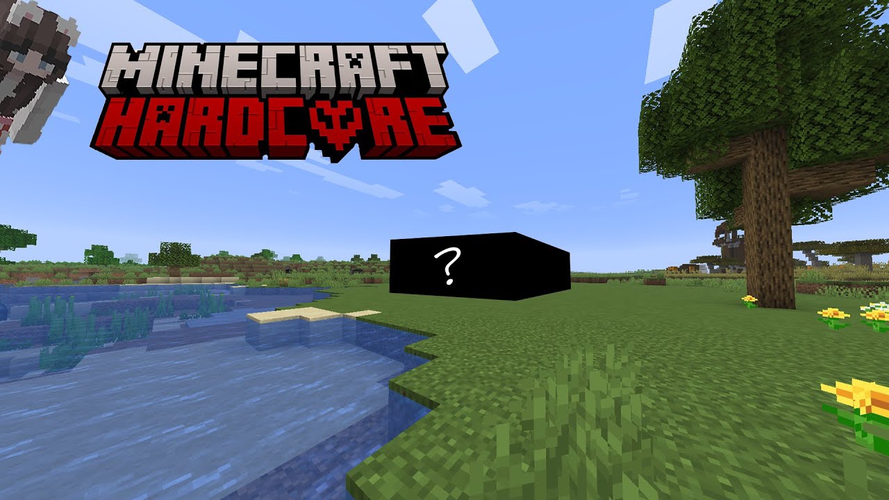 COSTRUIAMO LA BASE NELLA MINECRAFT HARDCORE | Minecraft Hardcore EP.2