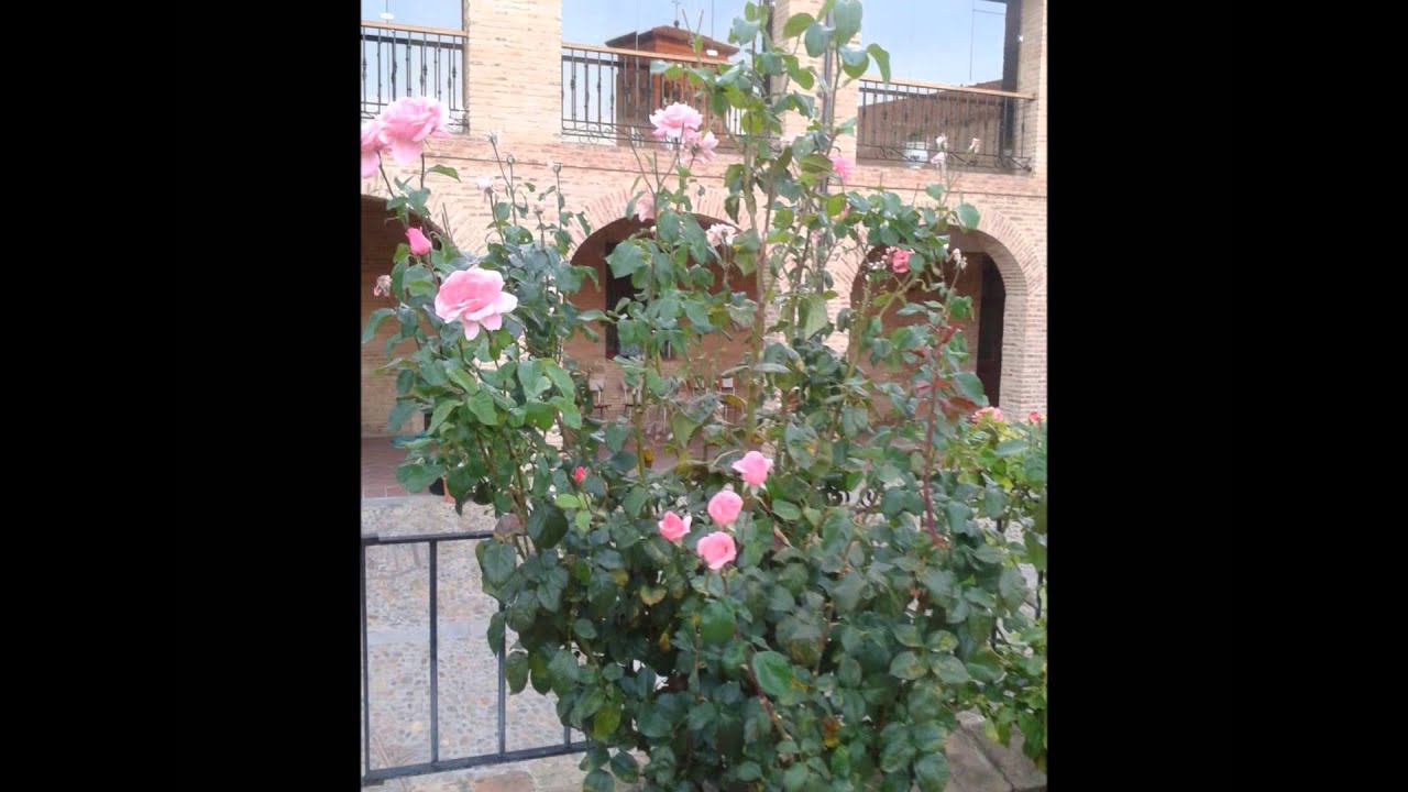 Dia a dia de una joven en un monasterio benedictino