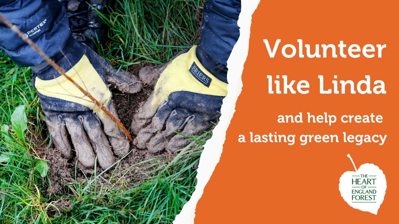 Give your time to help create a lasting green legacy with the Forest
