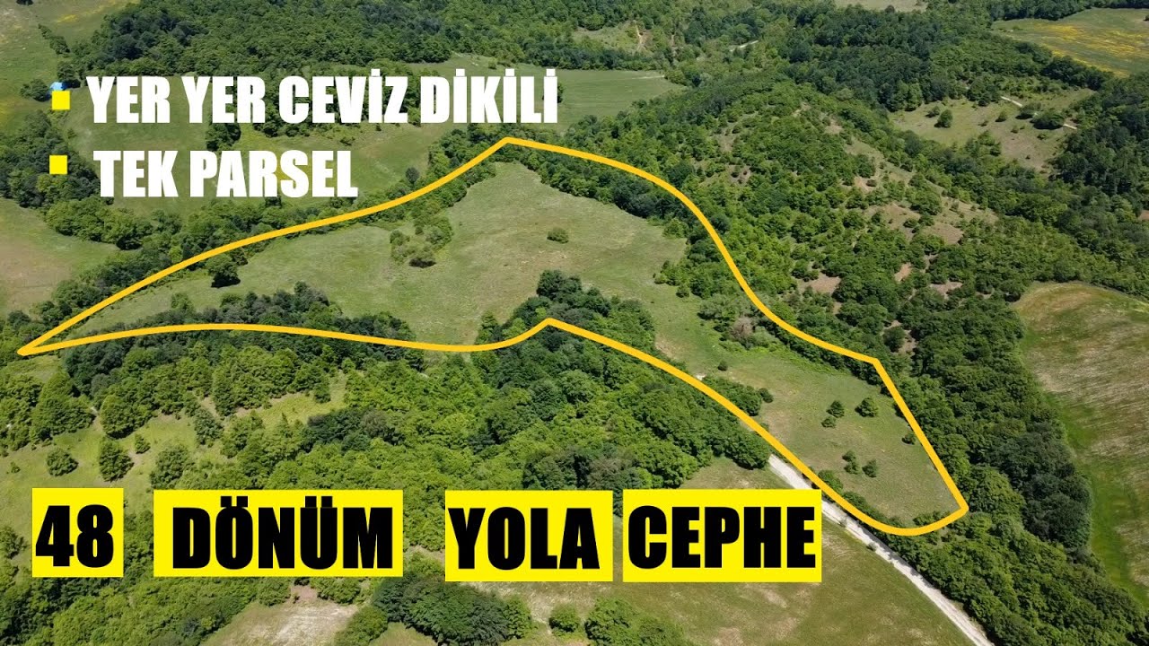 48 DÖNÜM TEK PARSEL-KADASTRO YOLUNA VE DEREYE CEPHE-GENELİ CEVİZ DİKİLİ-SATILIK TARLA