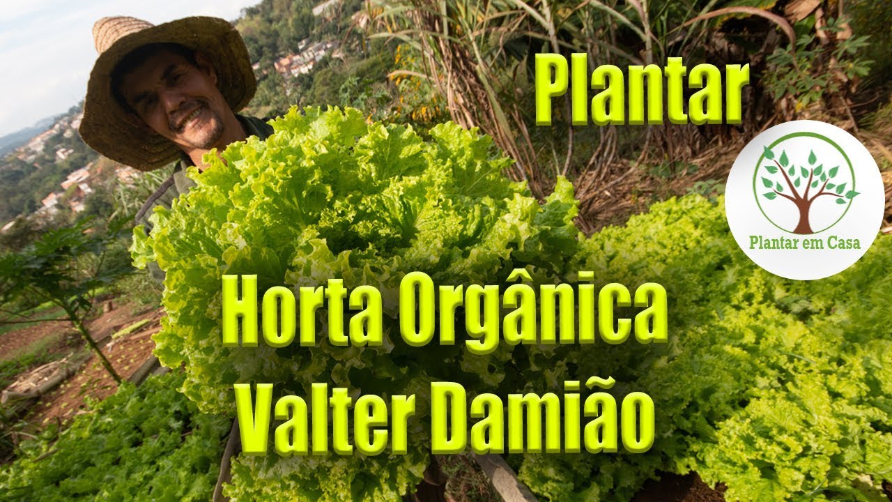 Horta Orgânica com Valter Damião, Dicas para Plantar em Casa