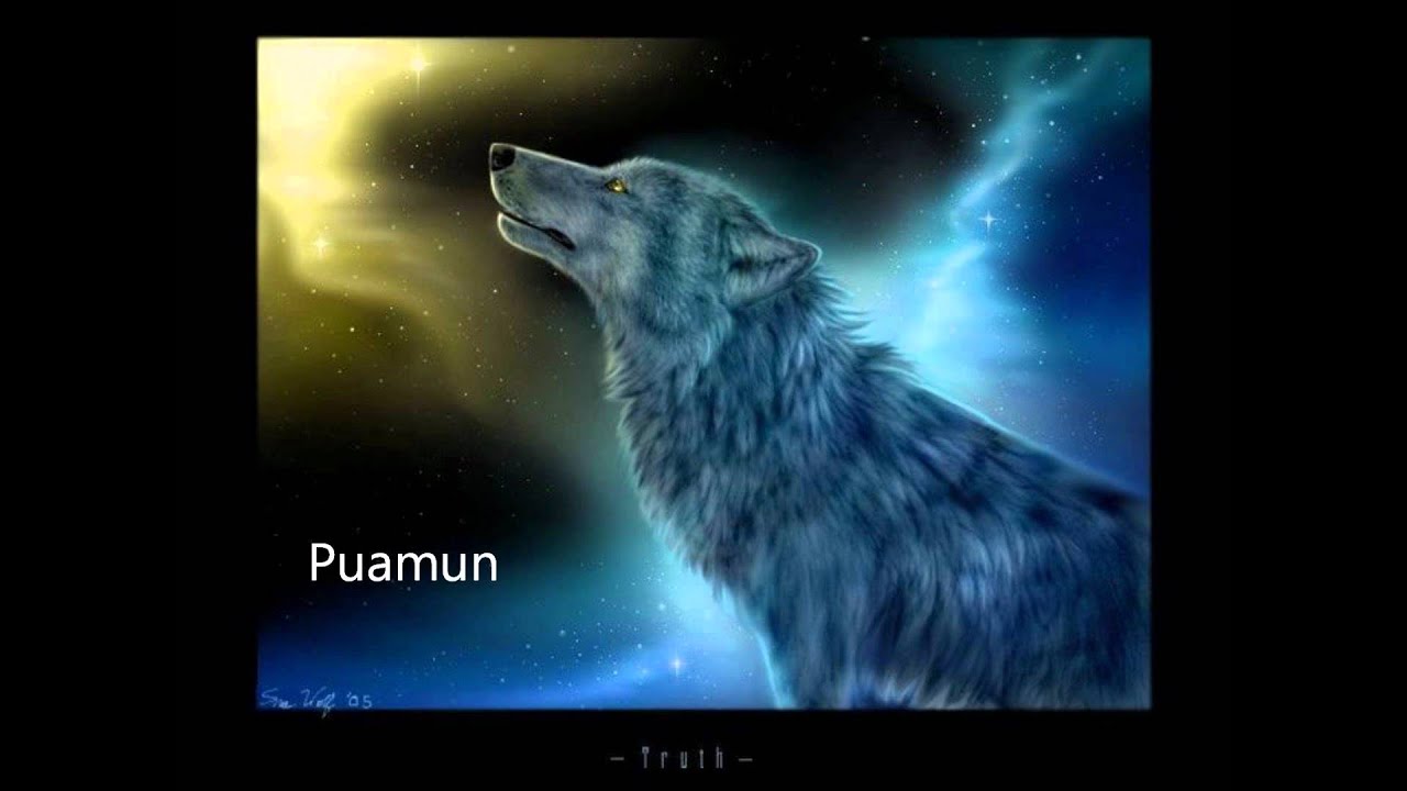 Gregoire Boys - Puamun