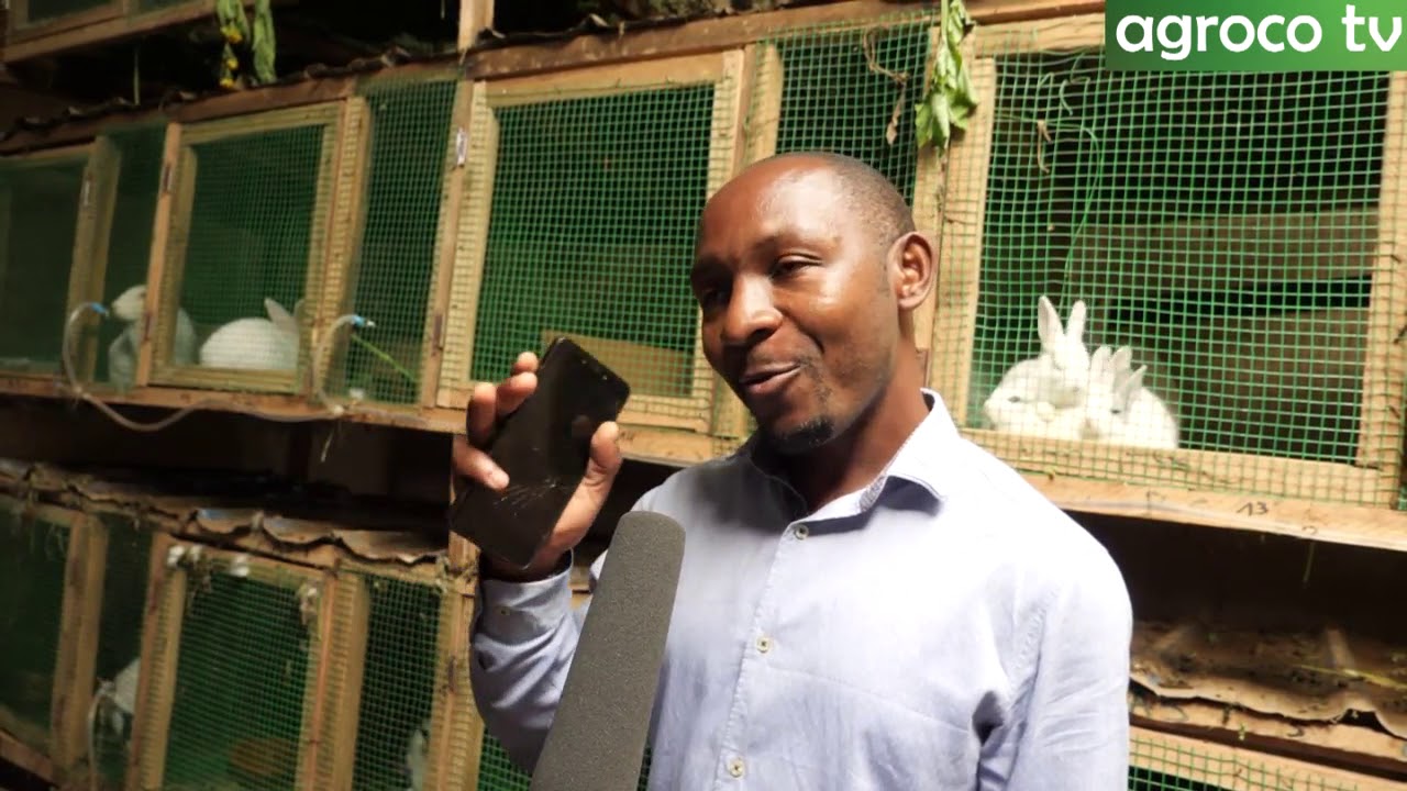 Yahisemo kuba mu nkwavu/ Isoko ry'inkwavu ni rigari ntawarihaza/ Musoni Dieudonne yahinduye ubuzima