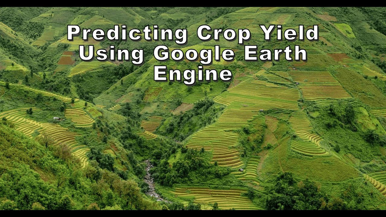 Predicting Crop Yield Using Google Earth Engine