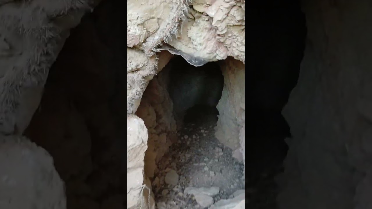El Segre Mitjà..7na part