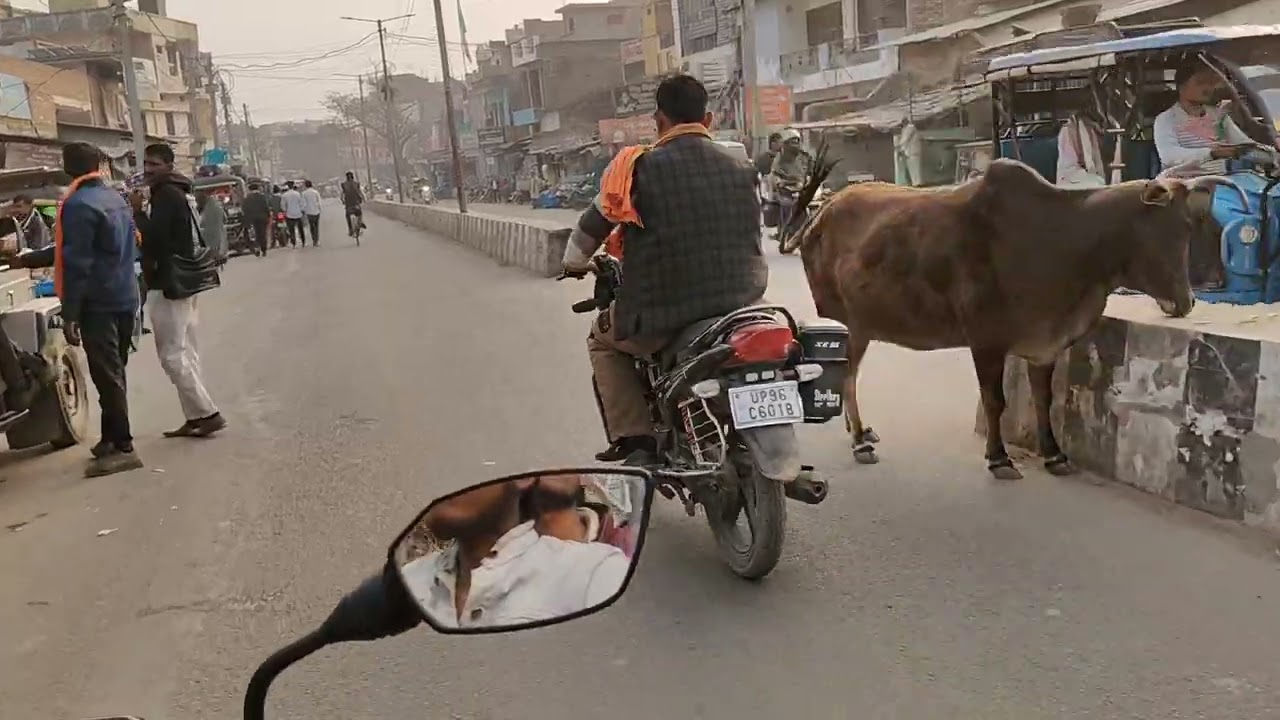 New bologar 👍 traffic Chauraha ,🫵 LIC road tak 👍