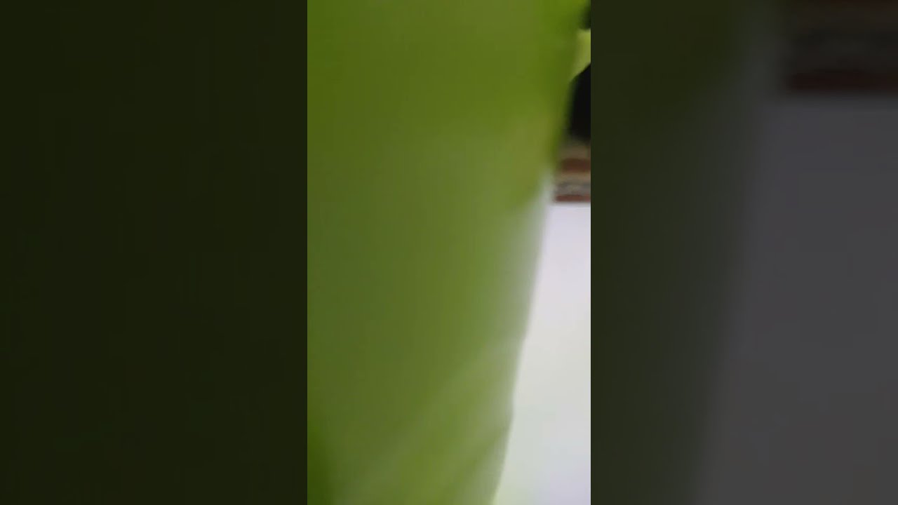 جمعه مباركه عليكم وعلينا جميعا يارب العالمين
