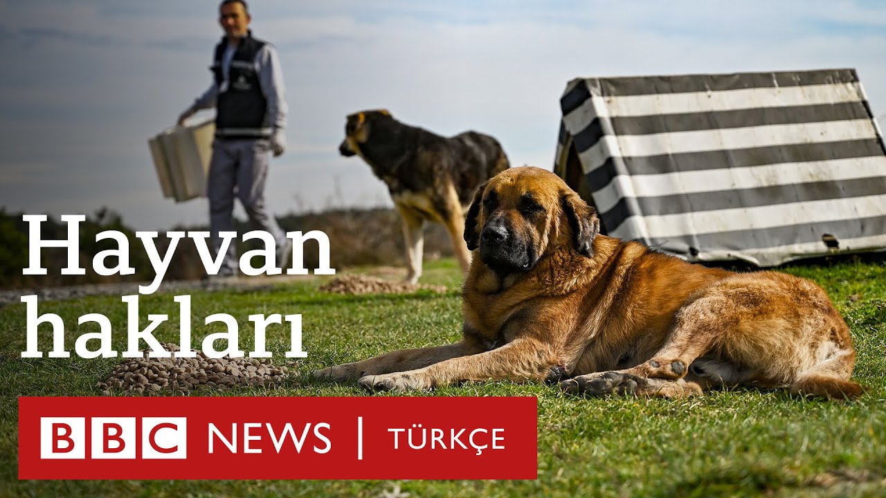 Hayvan hakları savunucuları ile bir g&uuml;n