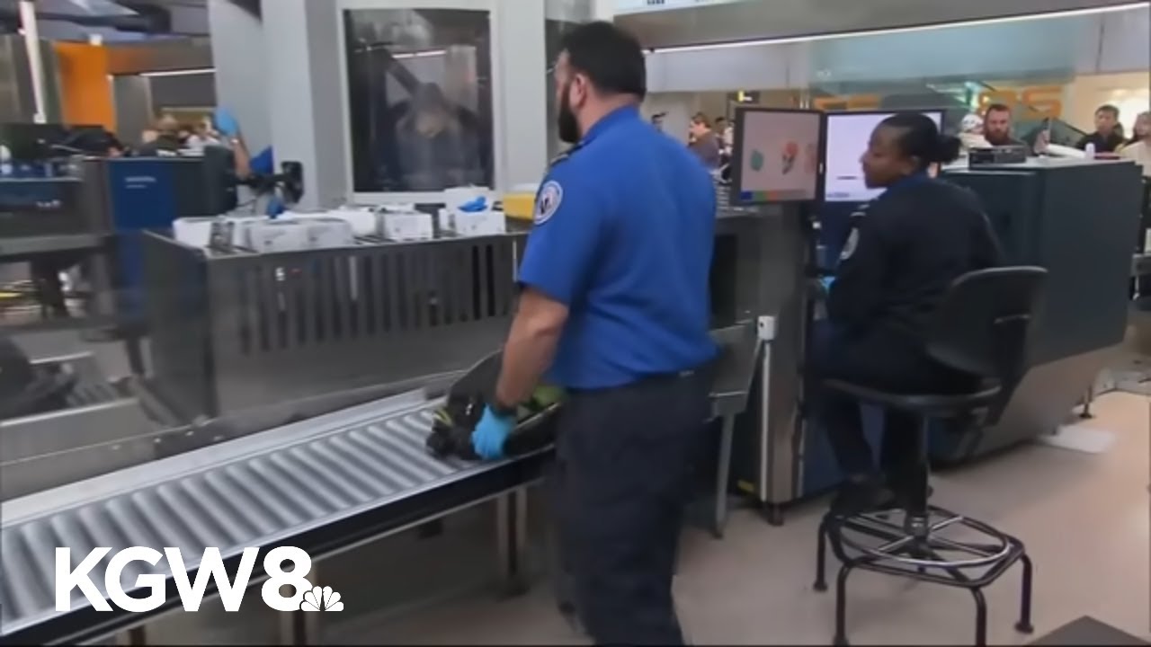 Сотрудники TSA увольняются из-за приостановки работы правительства, затронувшей систему безопасно...