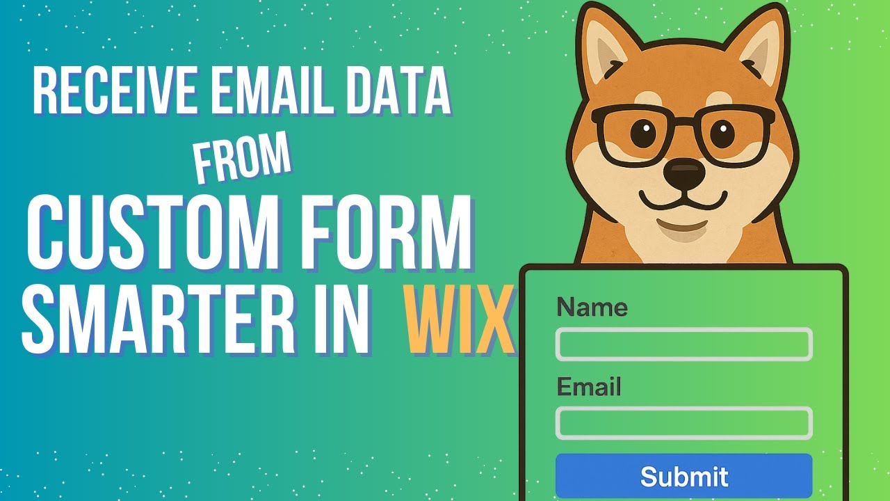Smarter Way to Receive Custom Form Data in Wix Using Velo + Mapping