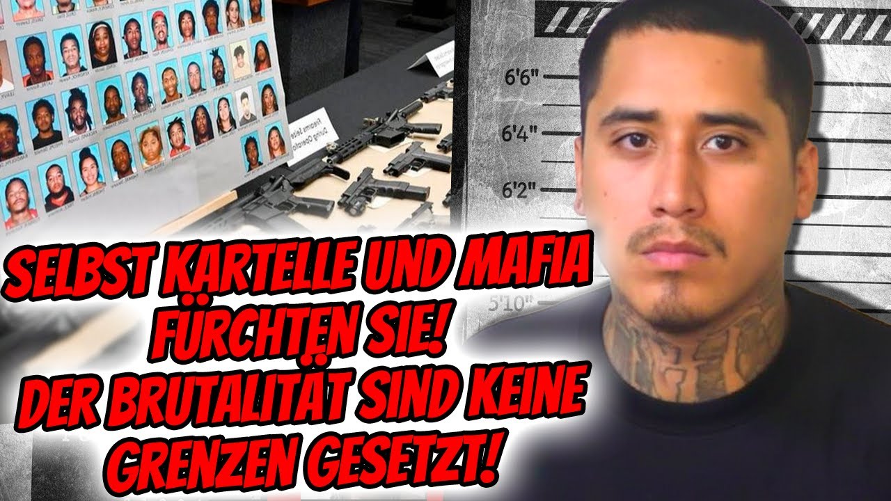 Fresno Bulldogs, die K&Ouml;NIGE KALIFORNIENS, die Verbrechen und Drogen kontrollieren | dokumentarfilm